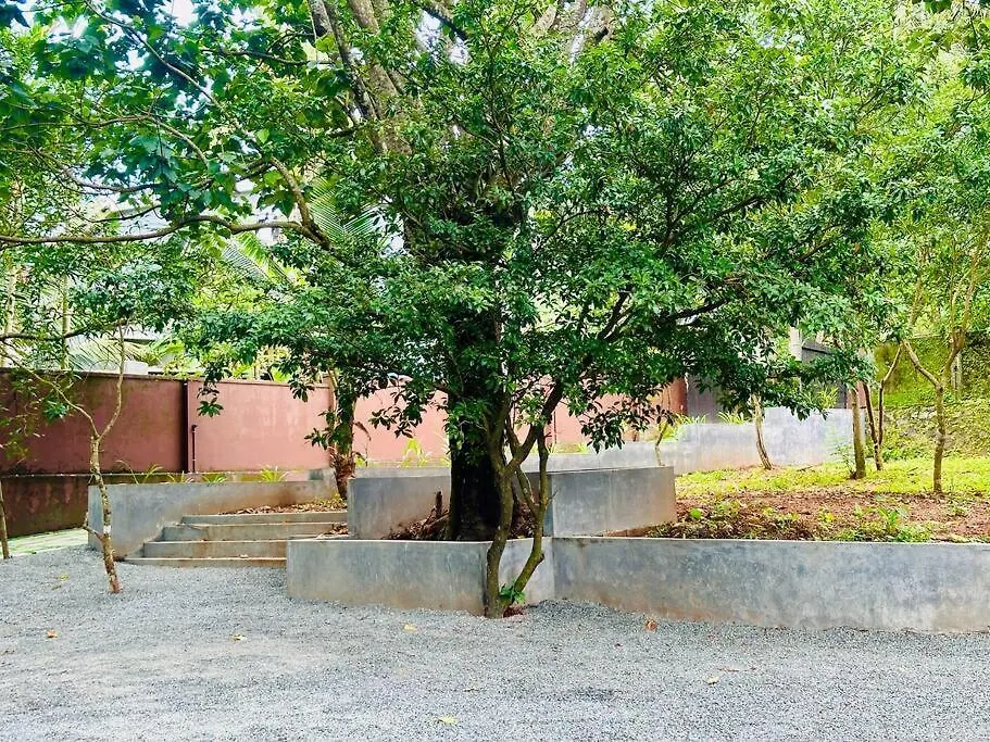 Celestia Stays Kozhikode